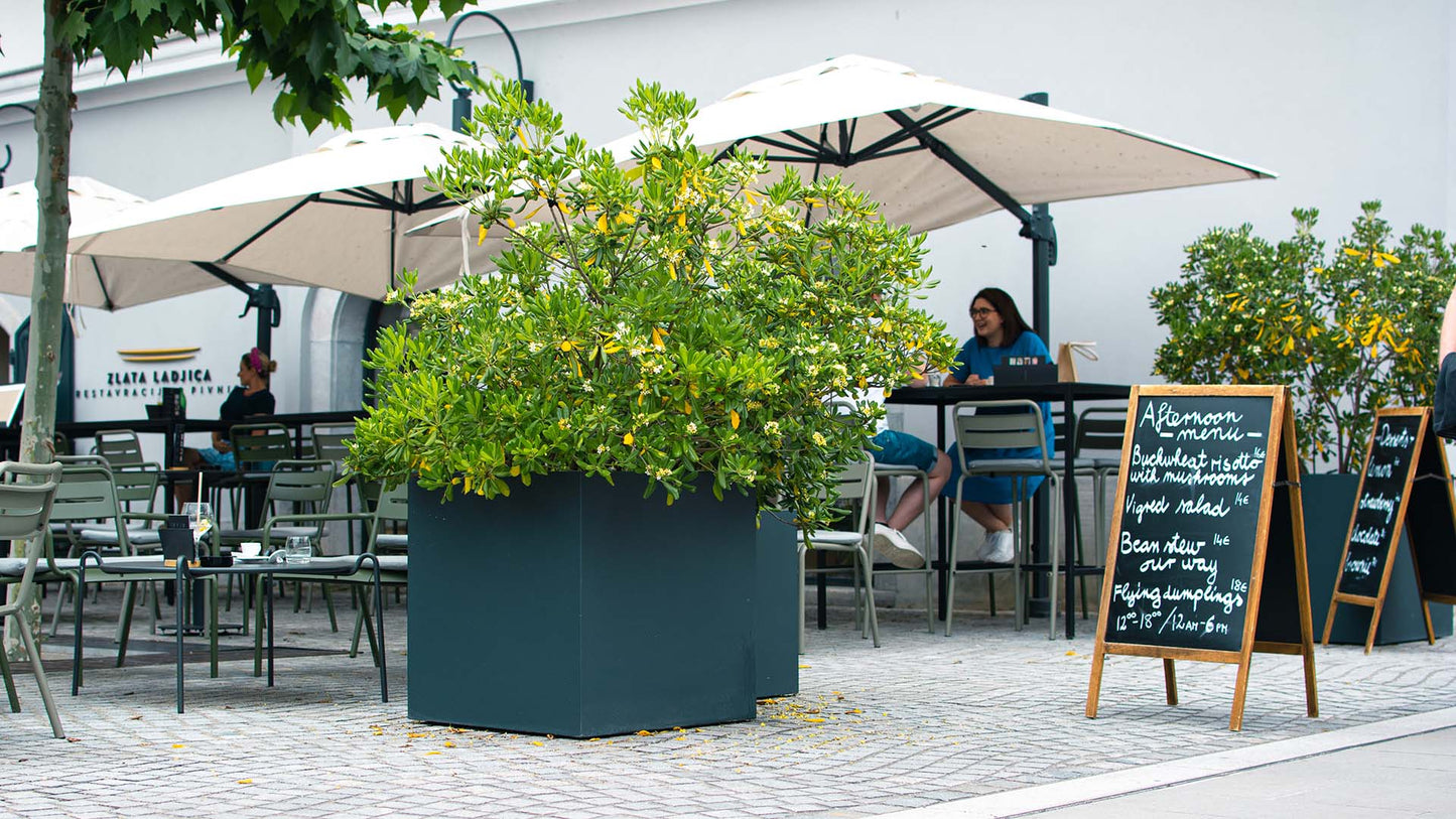 CUBE planter Lite